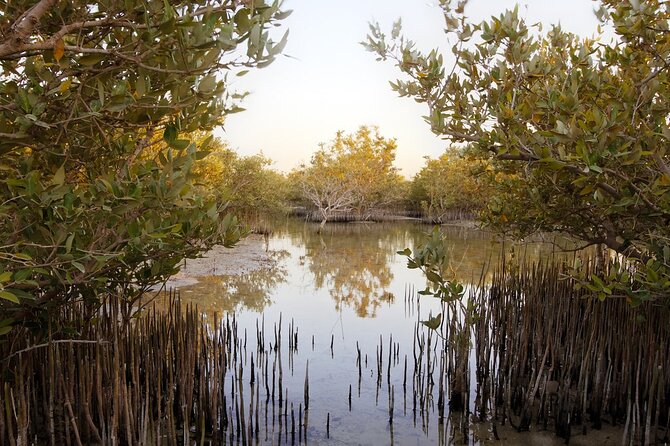 Private North of Qatar: Zubara Fort Jumail Village Al-Thakhira Mangroves - Common Questions