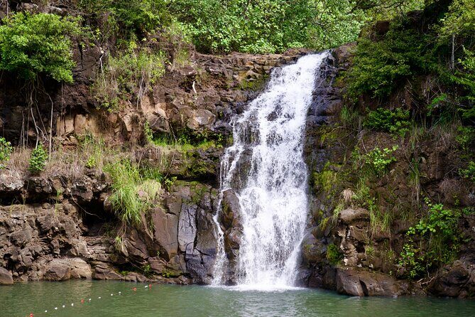 Private North Shore Oahu Tour ft. Waimea Falls-Customizable - Exploring the North Shore in Style: What to Expect