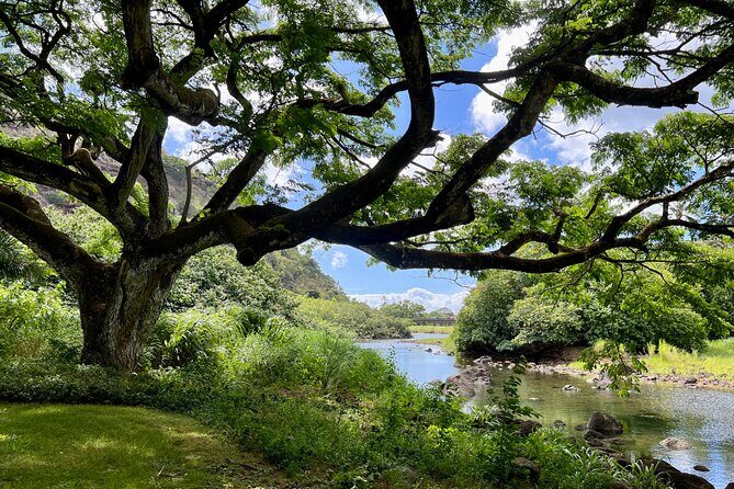 Private North Shore Oahu Tour ft. Waimea Falls-Customizable - The Value of This Tour