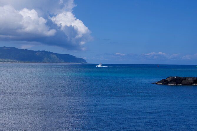 Private North Shore Oahu Tour ft. Waimea Falls-Customizable - Who Is This Tour Best For?