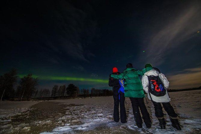 Private Northern Lights 4-hour Hunting - Dedicated Guide