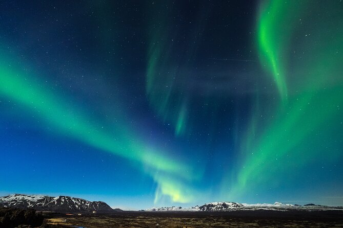 Private Northern Lights Adventure With Lobster Dinner - The Sum Up