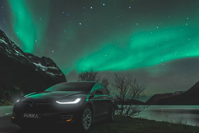Private Northern Lights Tesla Experience - Tour Details