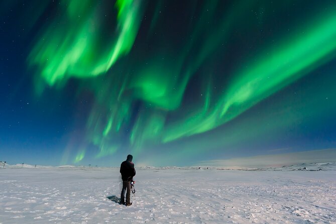 Private Northern Lights Tour in an Arctic Truck From Reykjavik - Meeting and Pickup