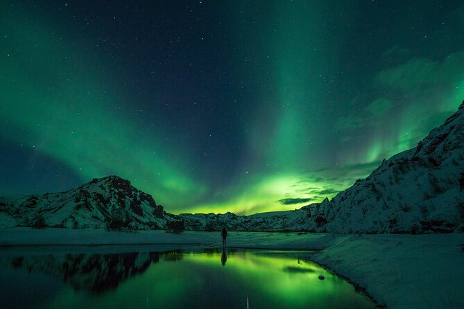 Private Northern Lights Tour With Icelandic Pastries and Liquor - Reviews and Rating Breakdown