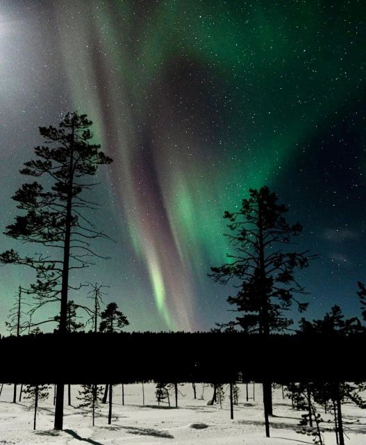 Private Northern Lights With Campfire: Family/Small Group - Inclusions and Booking Details