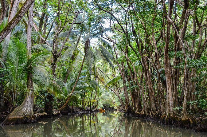 Private Northern Tour Indian River, Cold Soufriere & Fort Shirley - FAQ