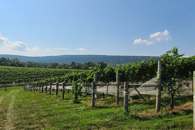 Private Northern Virginia Wine Tours - Additional Information and Support
