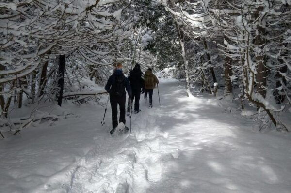 Private Nottawasaga Bluffs Caves Snowshoe-Creemore/Collingwd - Starting Location and Duration