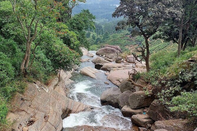 Private Nuwara Eliya City Tour Including Main Attractions - The True Value of This Tour