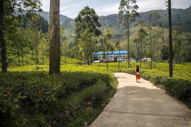 Private Nuwara Eliya Day Trip from Colombo All Inclusive - Who Should Consider This Tour?