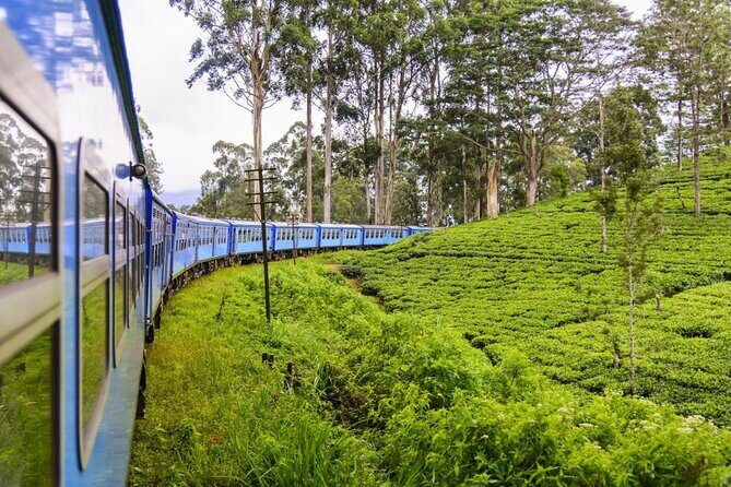 Private Nuwara Eliya Day Trip from Colombo  All Inclusive - FAQ