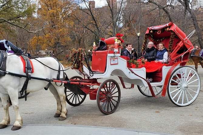 Private NYC Central Park Horse Carriage Ride (Guided) Since 1965 - Traveler Photos