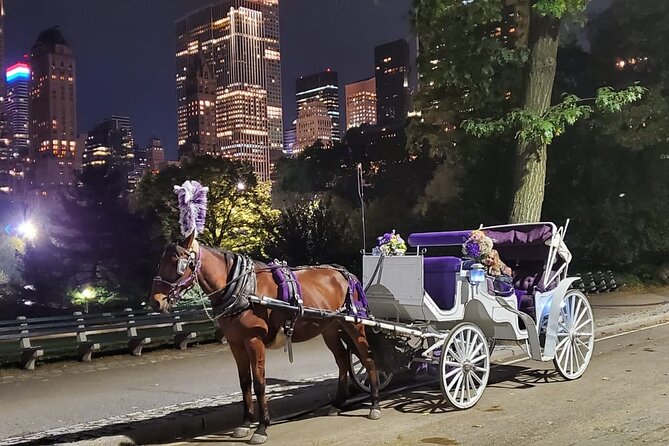 Private NYC Central Park Horse Carriage Ride (Guided) Since 1965 - Directions
