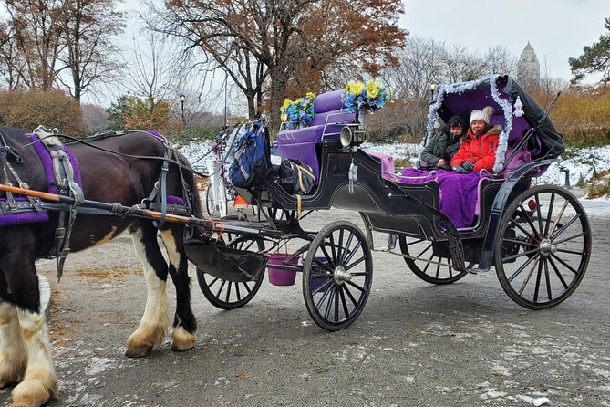 Private NYC Central Park Horse Carriage Ride (Guided) Since 1965 - The Sum Up
