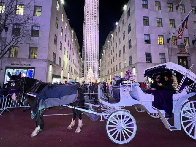 Private NYC Lights or Christmas Lights Horse Carriage Tour - Inclusions