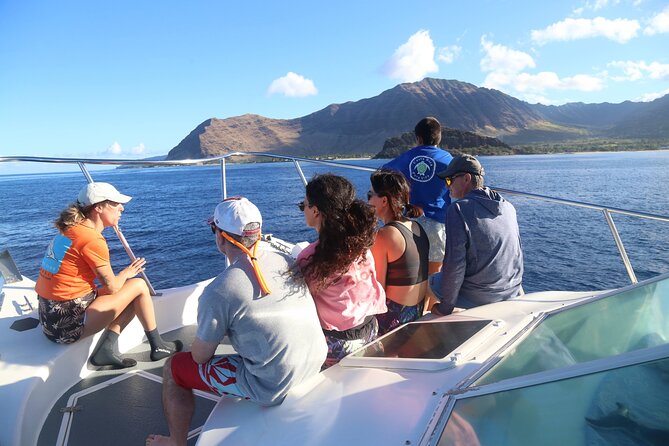 Private Oahu 3hr Guided Swim With Whale, Dolphin, Turtle Trek - Transportation Options Available