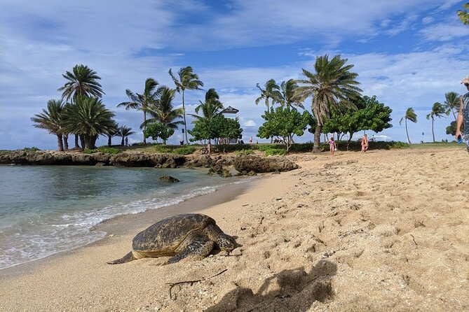 Private Oahu Circle Island Tour - Common Questions