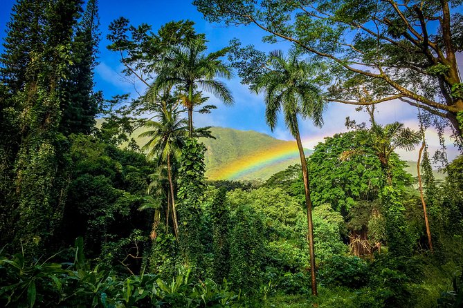 Private Oahu Van Tour - Options for Hiking and Snorkeling