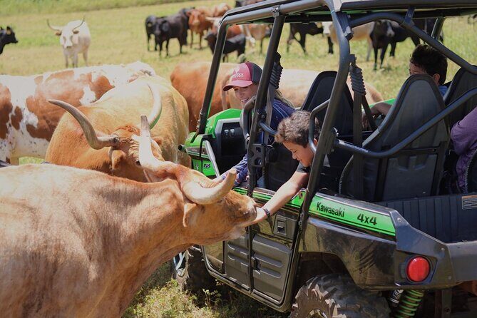 Private Off Road Explorer's Tour - A Closer Look at the Private Off Road Explorer’s Tour