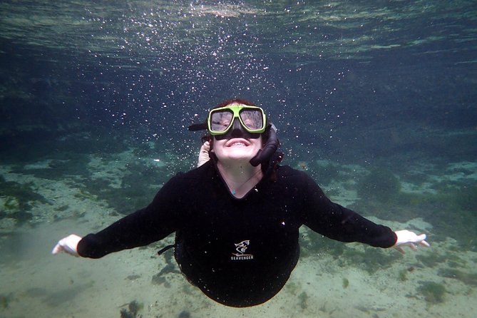 Private OG Manatee Snorkel Tour With Guide for up to 10 People - The Sum Up
