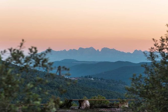 Private Oil Tasting Tour - Olive Varieties and Oil Making Process