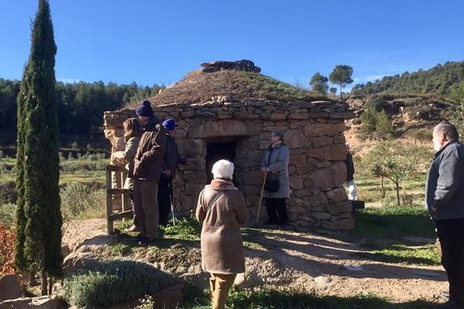 Private Oil Tasting Tour - Oil Tasting With Catalan Products