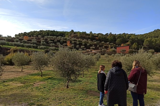 Private Oil Tasting Tour - Whats Included in the Tour