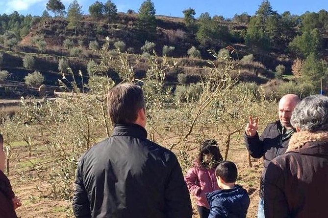 Private Oil Tasting Tour - Traveler Reviews and Ratings