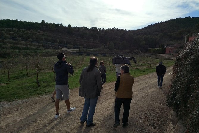 Private Oil Tasting Tour - Additional Information and Questions