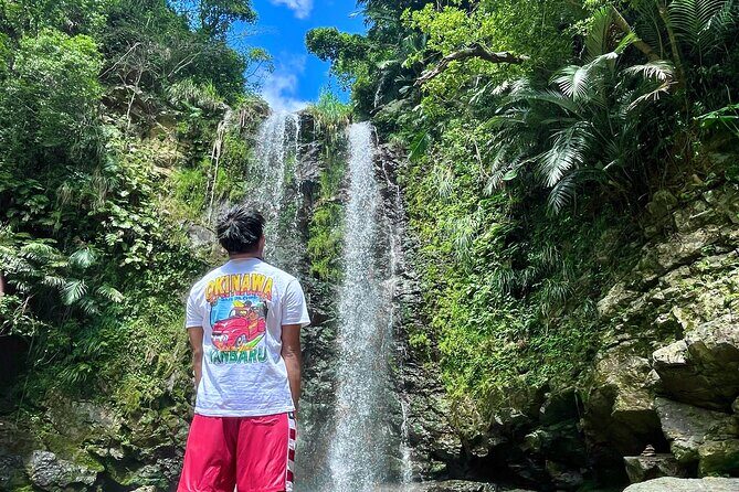 Private Okinawa Tour - 7 hours Pickup from anywhere in Okinawa - Exploring Okinawa with a Private 7-Hour Tour: A Genuine Look