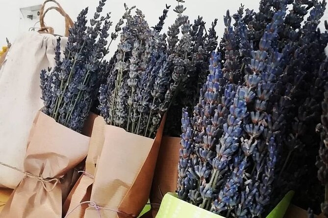 Private Olive Oil Face and Body Cream Making Workshop in Gythio - Workshop Schedule