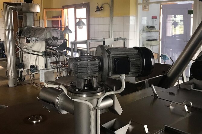 Private Olive Oil Tasting Tour @ Family Owned Organic Olive Mill - The Sum Up