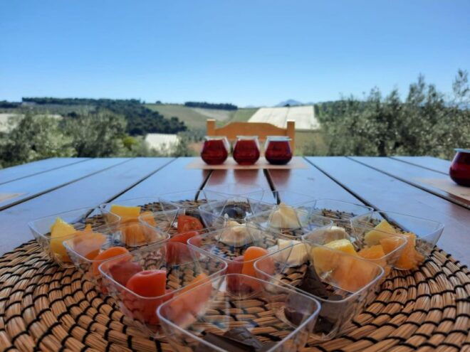 Private Olive Oil Tasting Tour of Peloponnese With a Pickup - Host/Greeter Information