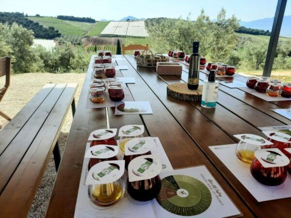 Private Olive Oil Tasting Tour of Peloponnese With a Pickup - Frequently Asked Questions