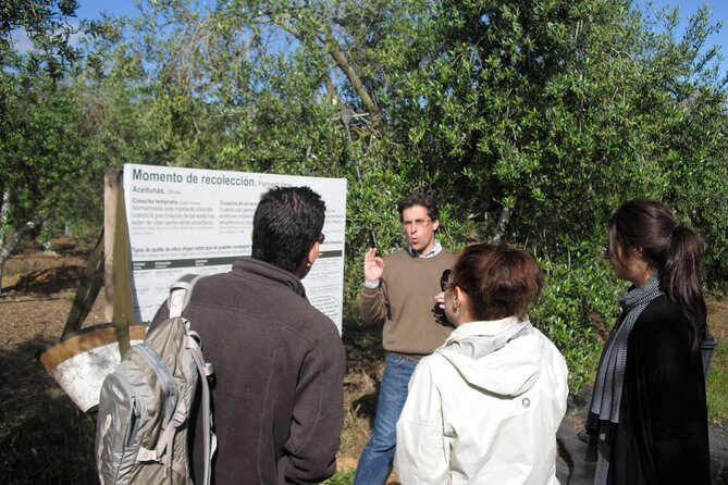 Private Olive Oil Tour From Sevilla - Booking Information