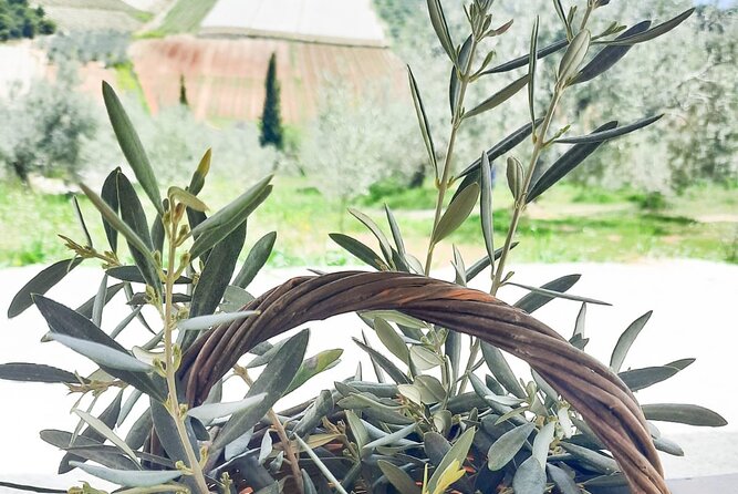 Private Olive Tasting Tour of Peloponnese - Reviews