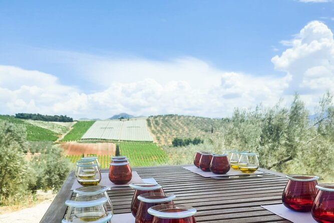 Private Olive Tasting Tour of Peloponnese - Pricing and Terms