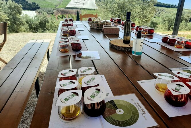 Private Olive Tasting Tour of Peloponnese - Directions