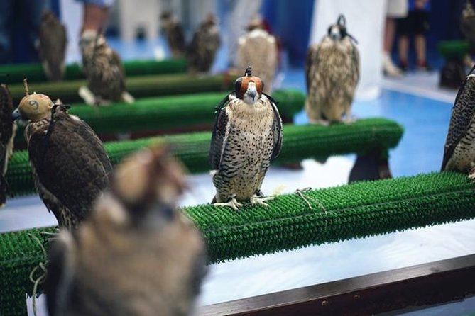 Private One-day Abu Dhabi Highlight Tour From Dubai With Lunch - Pickup and Dropoff Details