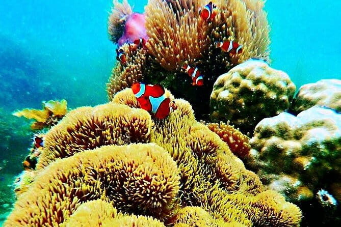 Private One Day Bintan Island Tour - FAQ