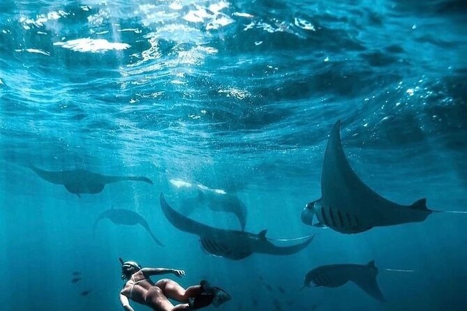 Private One Day East and West Tour With Snorkeling in Nusa Penida - Tour Availability