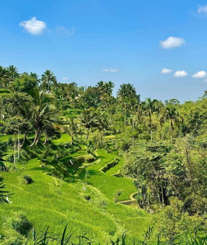 Private One-Day Tour: Authentic Tete Batu & Sukarara Village - Journey to Sukarara Village: Weaving and Community