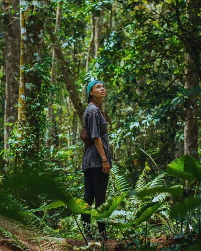 Private One-Day Tour: Authentic Tete Batu & Sukarara Village - Considerations and Tips for Travelers