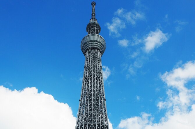 Private One Day Tour in Tokyo With Limousine and Driver - Questions and Support
