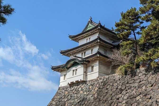 Private One Day Tour in Tokyo With Limousine and Driver - Pricing and Terms