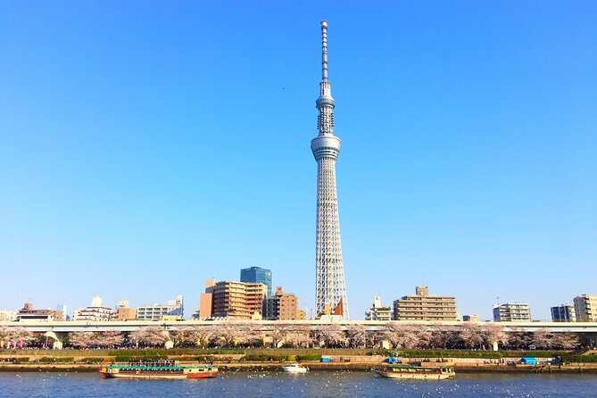 Private One Day Tour in Tokyo With Limousine and Driver - Common Questions