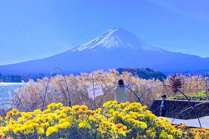 Private One Day Tour Mount Fuji With English Speaking Driver - Tour Overview