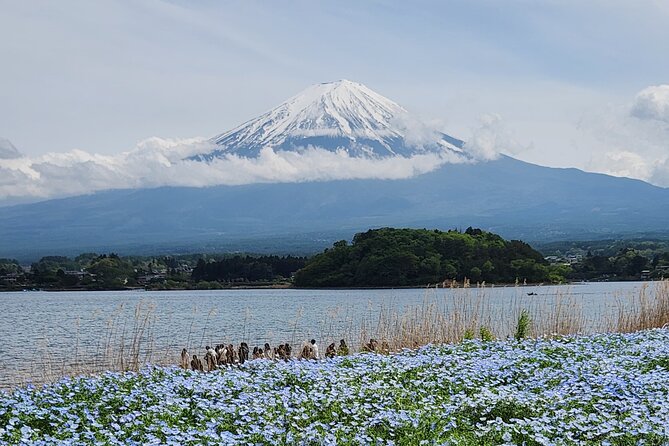 Private One Day Tour Mount Fuji With English Speaking Driver - Tour Itinerary Highlights