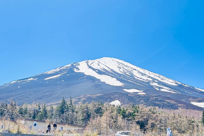 Private One Day Tour Mount Fuji With English Speaking Driver - Important Reminders and Tips